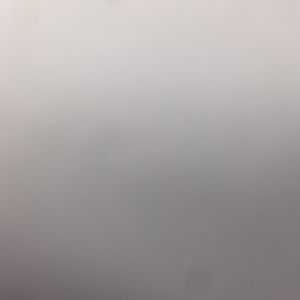 Meet your Posher, Abigail